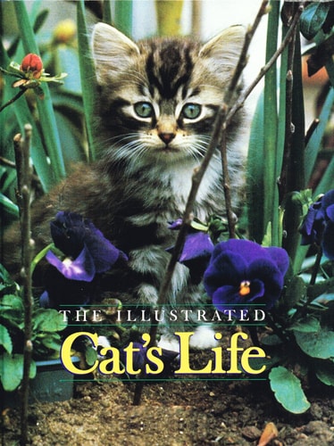 The Illustrated Cat's Life