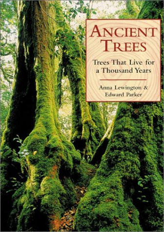 Ancient Trees: Trees That Live For 1,000 Years