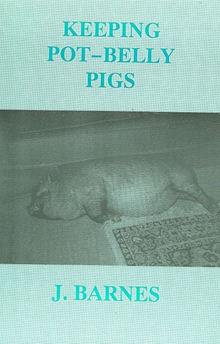 Keeping Pot Belly Pigs