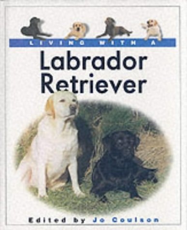 Living with a Labrador Retriever