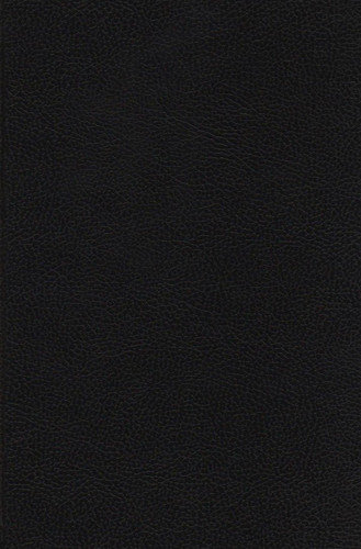 Arabic Bible Bible in Arabic