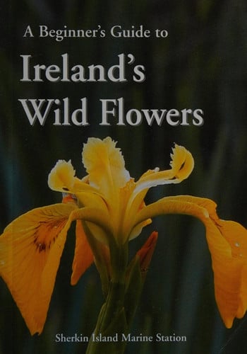 A Beginner's Guide to Ireland's Wild Flowers