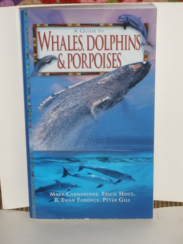 Whales, Dolphins and Porpoises