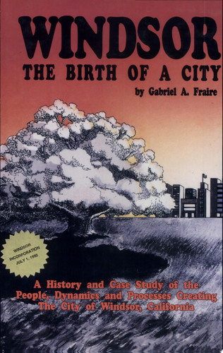 Windsor The Birth of a City