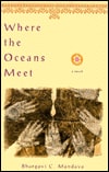 Where the Oceans Meet A Novel