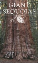 Giant Sequoias