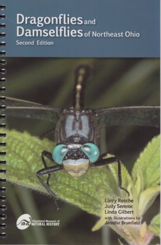 Dragonflies and Damselflies of Northeast Ohio