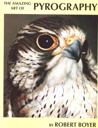 The Amazing Art of Pyrography With the DETAILMASTER