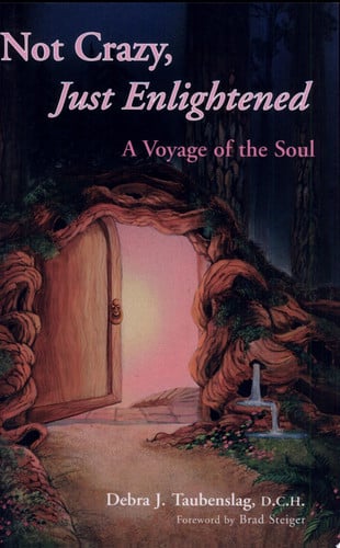 Not Crazy, Just Enlightened A Voyage of the Soul