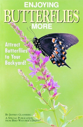 Enjoying Butterflies More Attract Butterflies to Your Backyard!