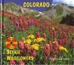 Colorado Scenic Wildflowers with Screen Saver