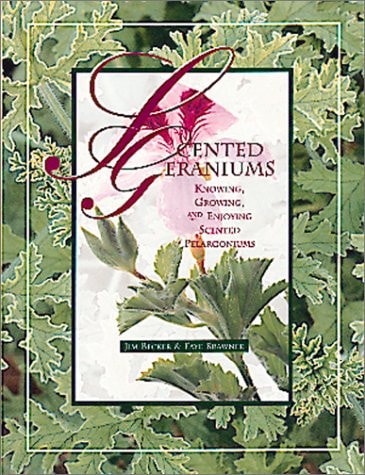 Scented Geraniums