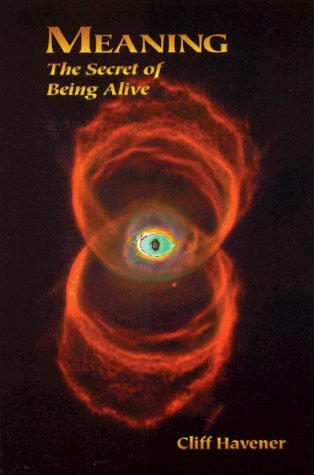 Meaning The Secret of Being Alive