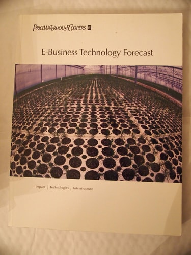 E-Business Technology Forecast