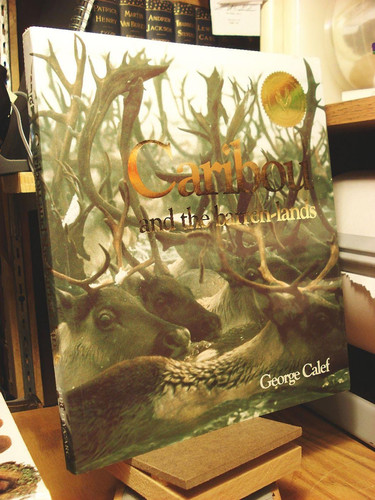 Caribou and the Barren-lands