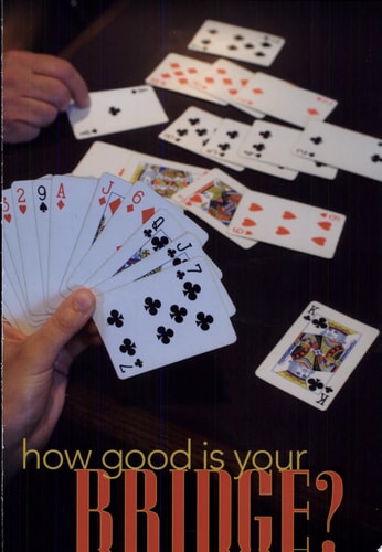 How Good Is Your Bridge?