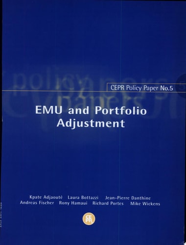 EMU and Portfolio Adjustment