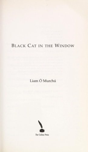 Black Cat in the Window