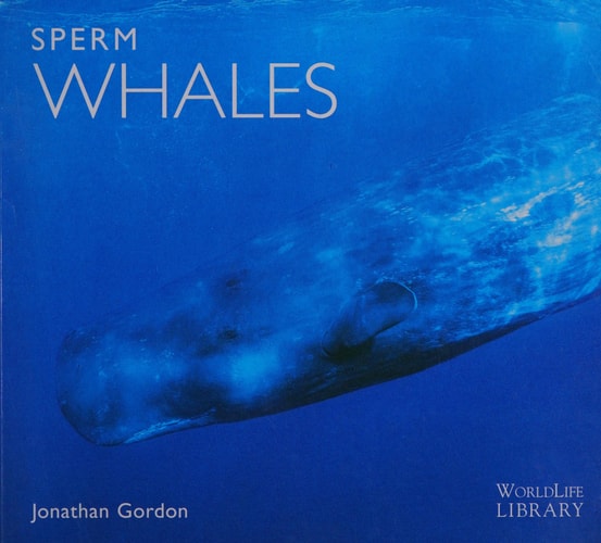 Sperm Whales
