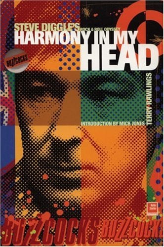 Harmony in My Head Steve Diggle's Rock & Roll Odyssey
