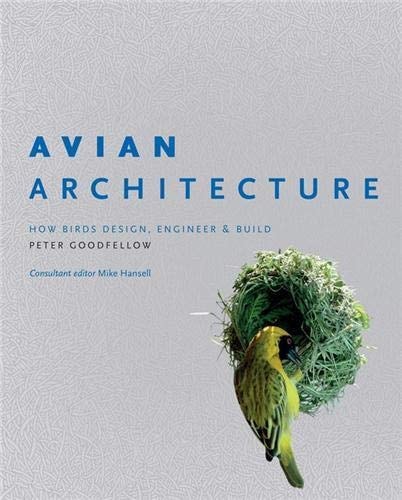 Avian Architecture How Birds Design, Engineer & Build