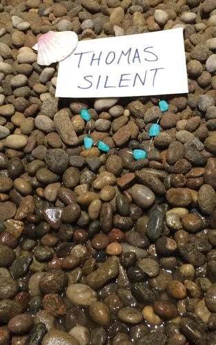 Thomas Silent Or, Why There are No More Mermaids