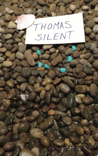 Thomas Silent or, Why there are no more mermaids