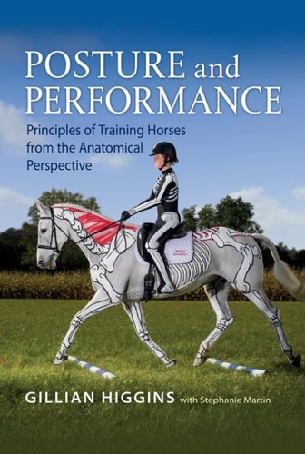 Posture and Performance Principles of Training Horses from the Anatomical Perspective