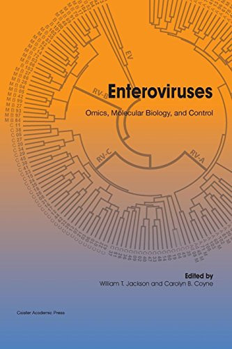 Enteroviruses Omics, Molecular Biology, and Control