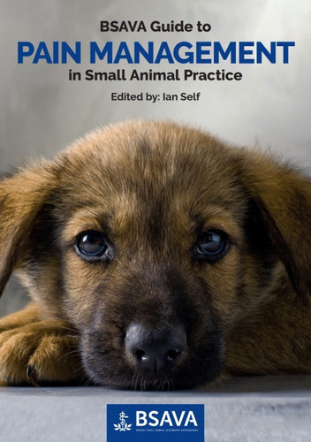 BSAVA Guide to Pain Management in Small Animal Practice