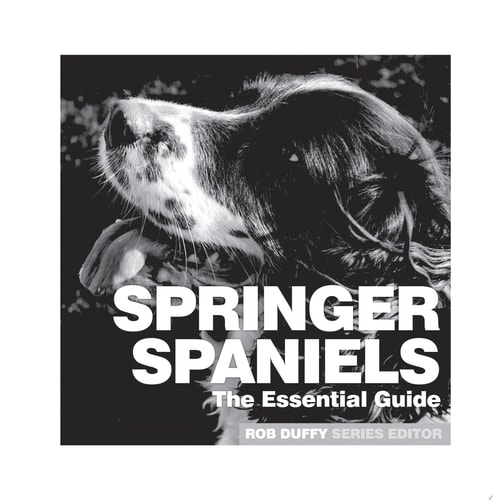 Springer Spaniels: The Essential Guide