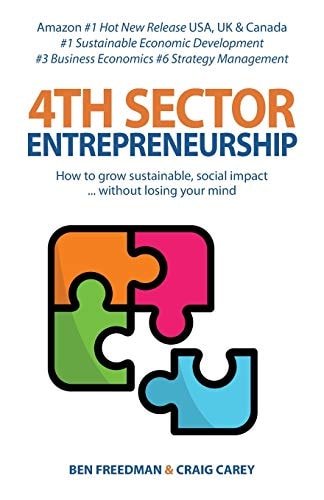 4th Sector Entrepreneurship How to Lead and Grow a Sustainable High-Impact Social Enterprise That Consistently Delivers Value