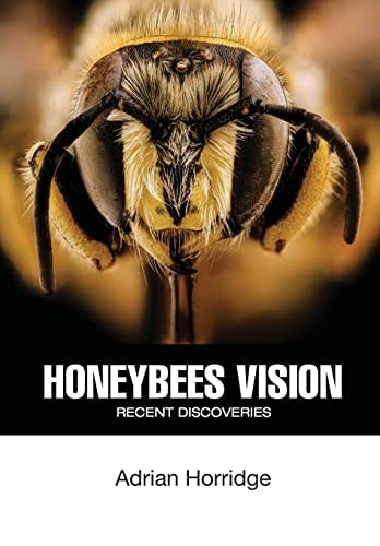 Honeybees Vision Recent Discoveries