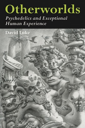 Otherworlds Psychedelics and Exceptional Human Experience