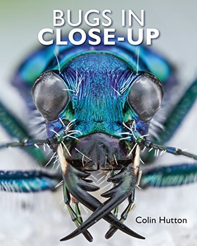 Bugs in Close-up