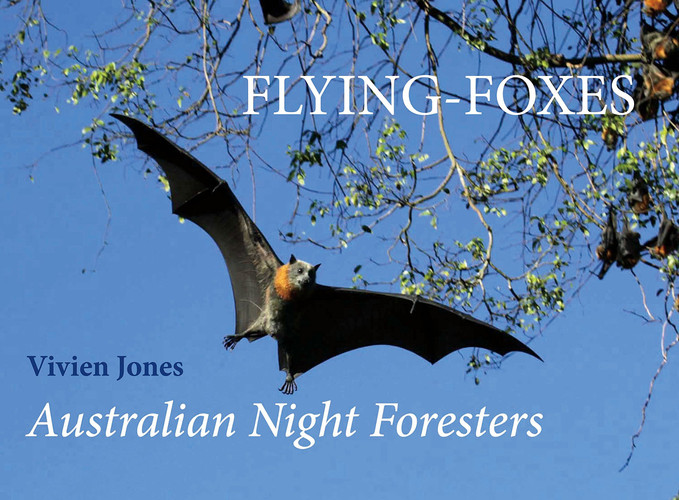 Flying-foxes Australian Night Foresters