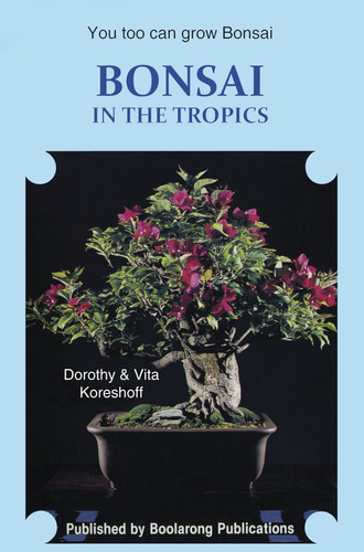 Bonsai in the Tropics
