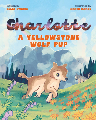 Charlotte a Yellowstone Wolf Pup
