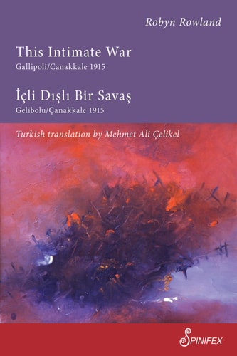 This Intimate War Gallipoli/Canakkale 1915 Icli Disli Bir Savas: Gelibolu/Canakkale 1915