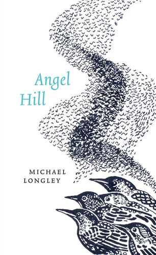 Edition published by Wake Forest University Press