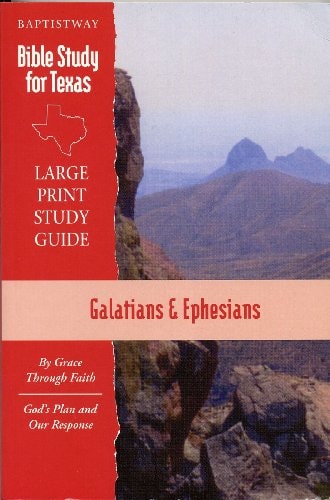 Guidance for the Seasons of Life Large Print