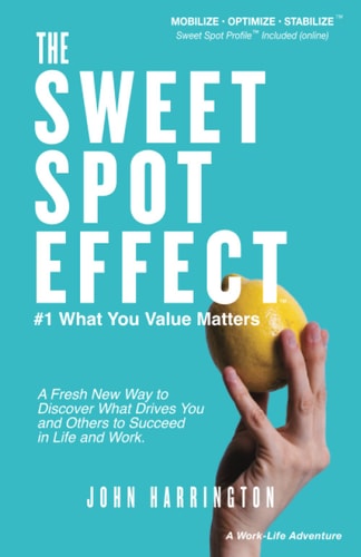 The Sweet Spot Effect, #1 What You Value Matters: A Fresh New Way to Discover What Drives You and Others to Succeed in Life and Work. (Mobilize • Optimize • Stabilize) (Quick Read Series)