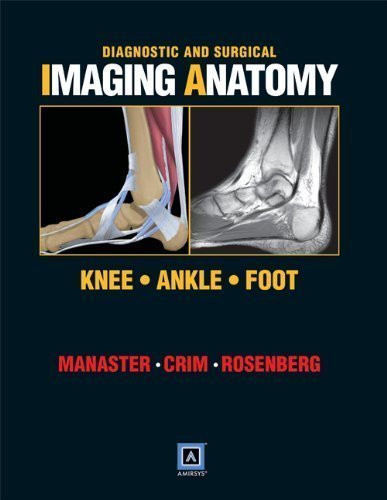 Knee, Ankle, Foot