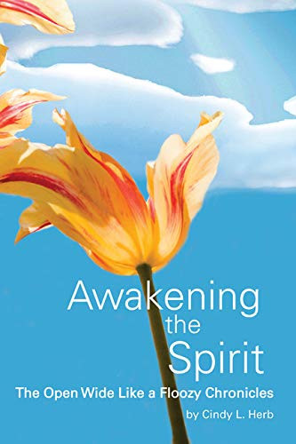 Awakening the Spirit The Open Wide Like a Floozy Chronicles