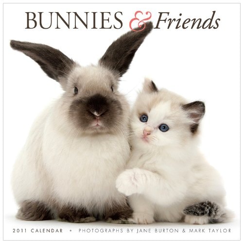 2011 Bunnies & Friends Calendar
