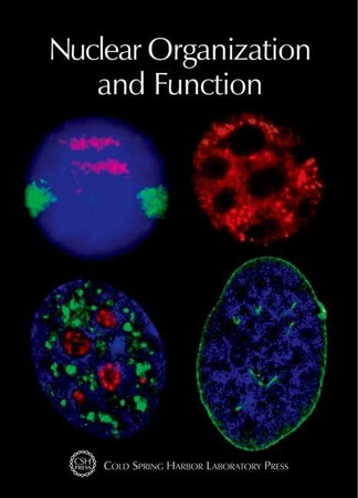 Nuclear organization and function
