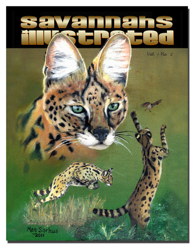 Savannahs Illustrated - Savannah Cats - Simply Savannahs
