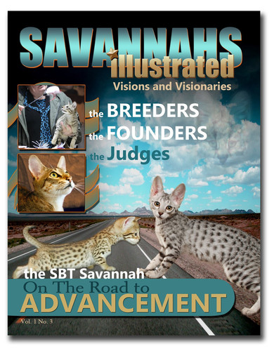 Savannah Cats, Savannahs Illustrated, Visions and Visionaries