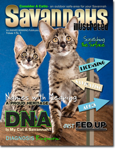 Savannahs Illustrated Savannah Cats, Discovery