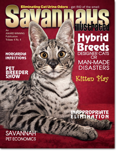 Savannahs Illustrated Savannah Cats Revelation Issue